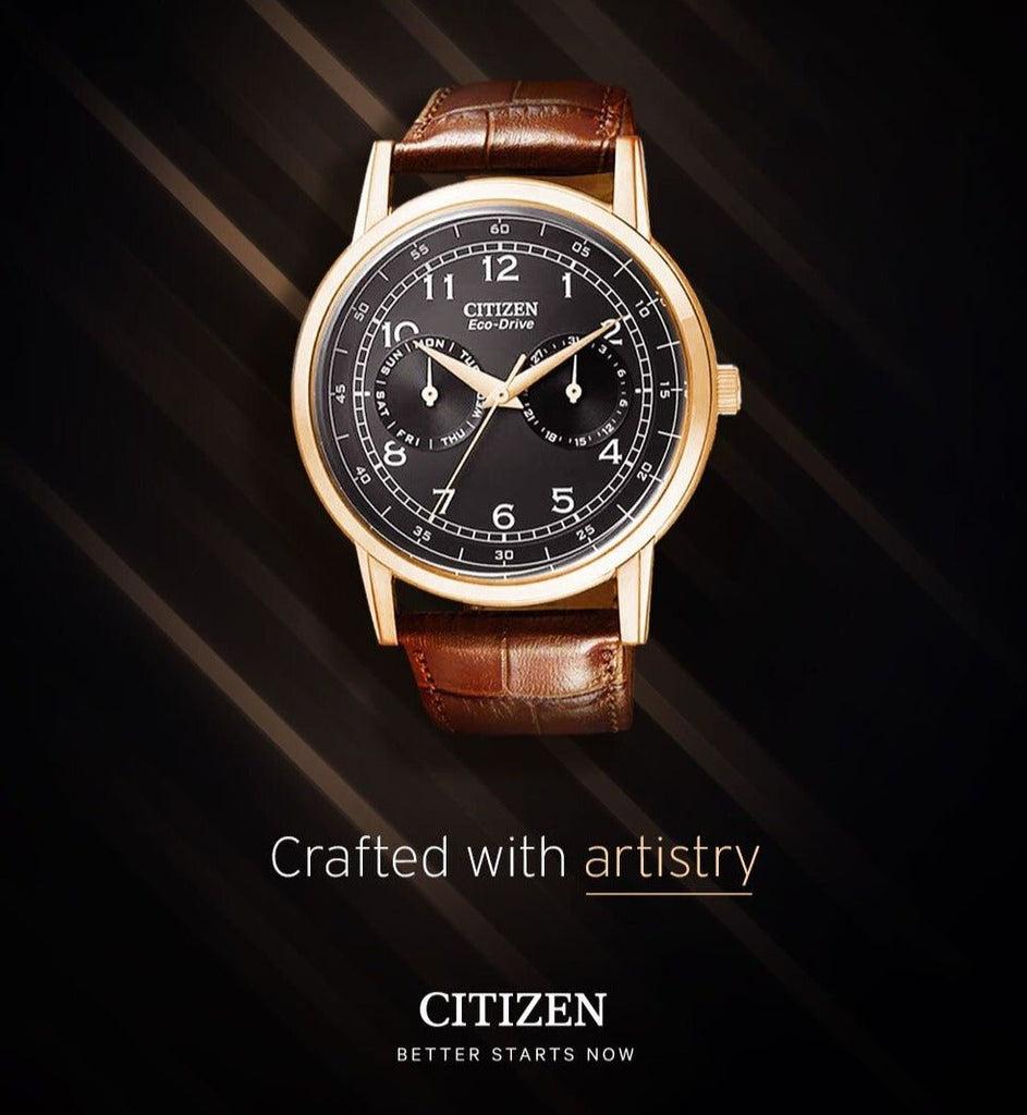Citizen Eco Drive Multi Function Day & Date Black Dial Brown Leather Strap Watch For Men - AO9003-08E