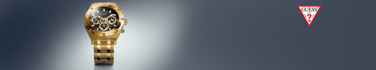 Guess Horizon