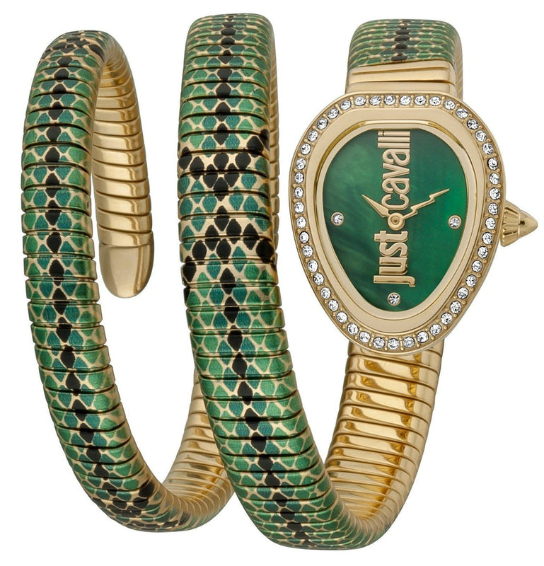 Just Cavalli Doppio Green Dial Multicolor Steel Strap Watch for Women - JC1L163M0055